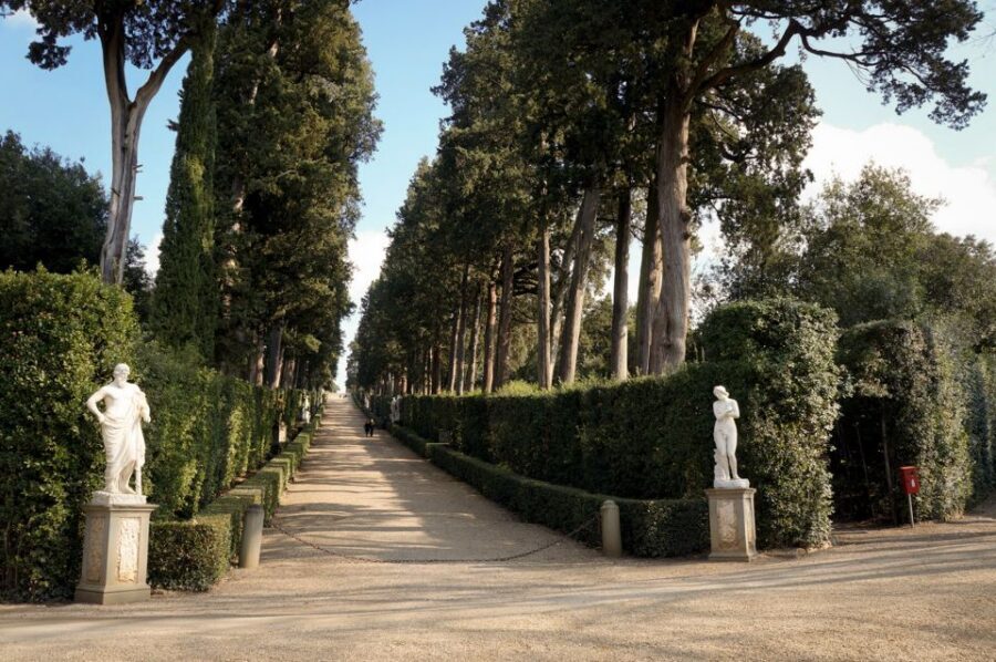Florence: Pitti Palace Entry Ticket and Guided Walking Tour - Who this tour is best for