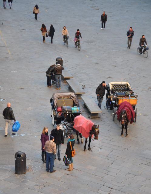 Florence: Private Walking Tour with a Local Guide - The $330 price: what value means for a private Florence walk