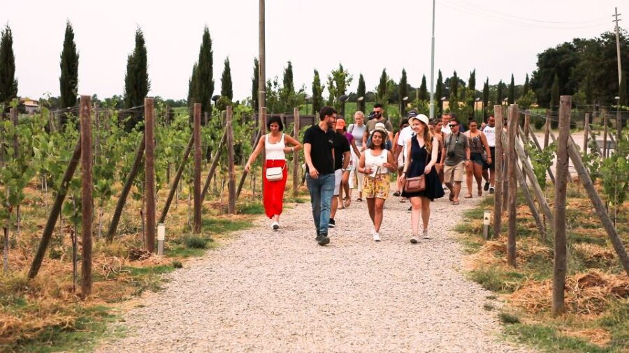 Florence: S. Gimignano, Siena, Chianti & Wine Tasting Lunch - Is the $89.50 price a good deal?