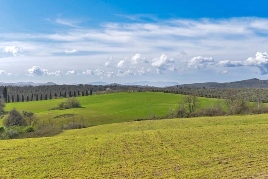 Florence: San Gimignano & Volterra Day Trip with Food & Wine - Volterra walking tour: narrow streets, museums, and craft stops