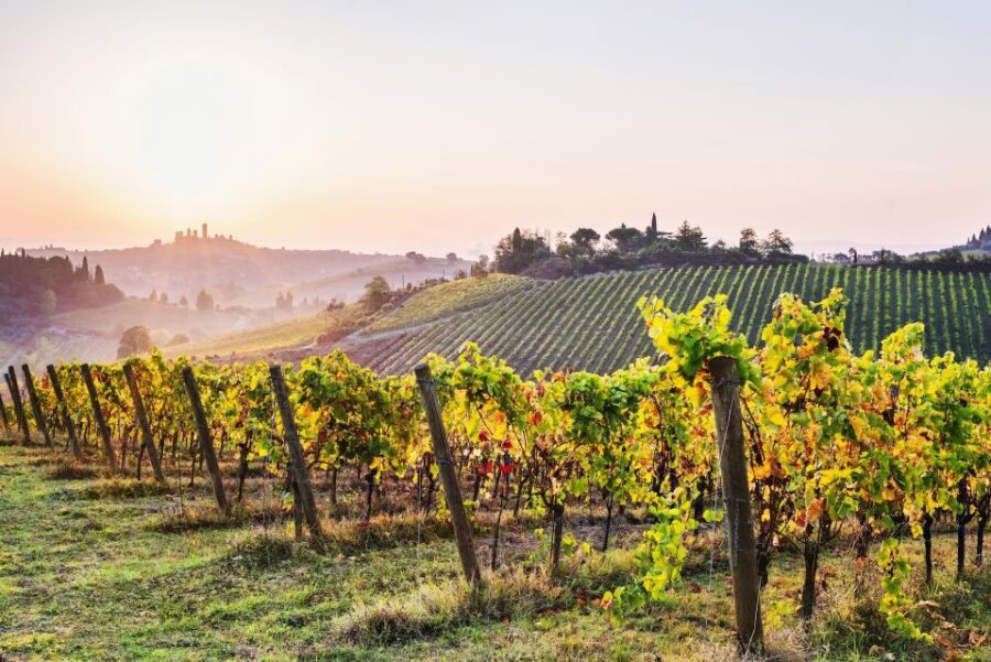 Florence: Siena & San Gimignano Day Trip with Lunch & Wine - Siena: Medieval Know-How Plus Time to Wander