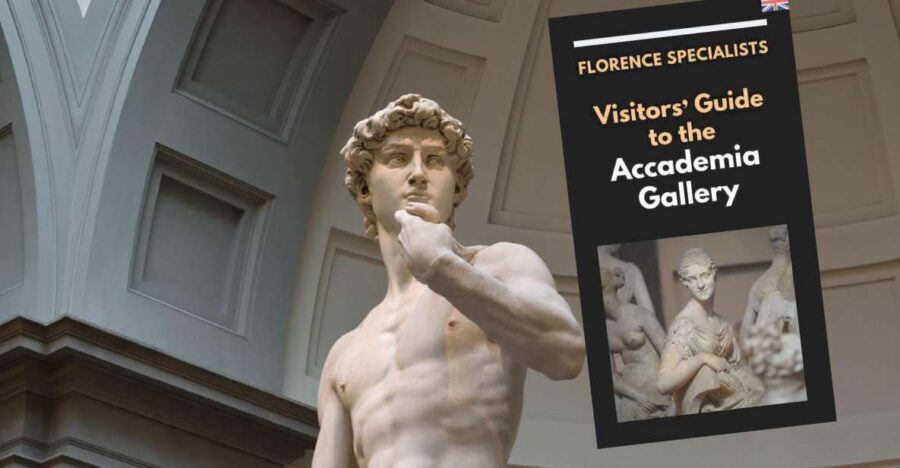 Florence: Timed Entry Ticket to Michelangelo's David & eBook - Medici-era musical instruments: the surprise stop you’ll remember