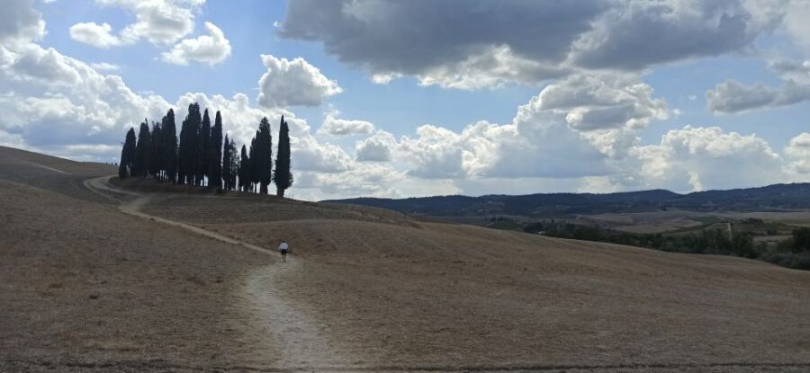 Florence: Valdorcia Wine, Brunello Montalcino, Montepulciano - FAQ