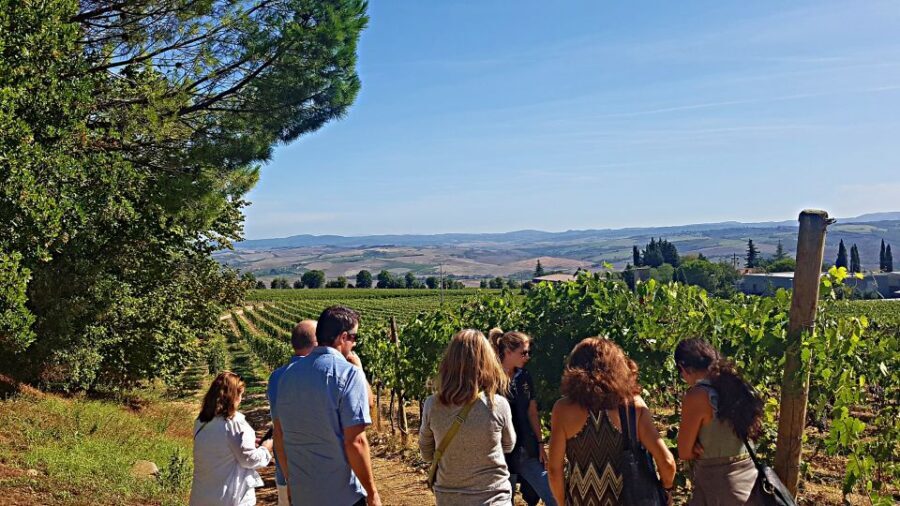 Florence: Valdorcia Wine, Brunello Montalcino, Montepulciano - How the Timing and Small Group Layout Affects Your Day