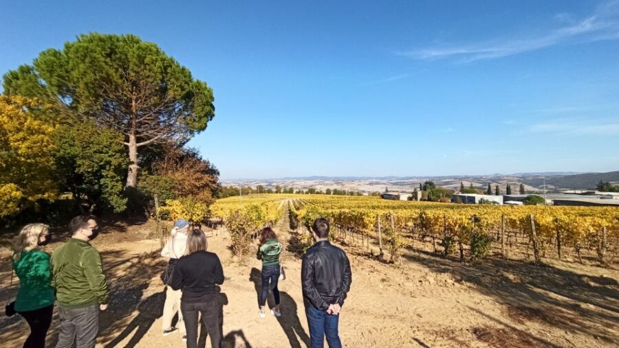 Florence: Valdorcia Wine, Brunello Montalcino, Montepulciano - Price and Value: What $265 Covers (and What It Doesn’t)