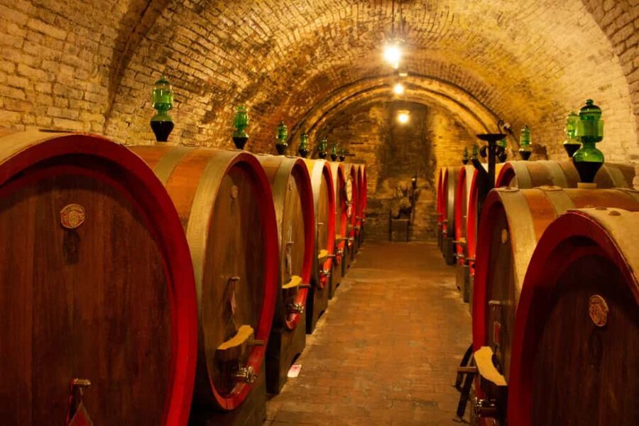Florence: Valdorcia Wine, Brunello Montalcino, Montepulciano - Who This Tour Fits Best (and Who Might Prefer Another Plan)