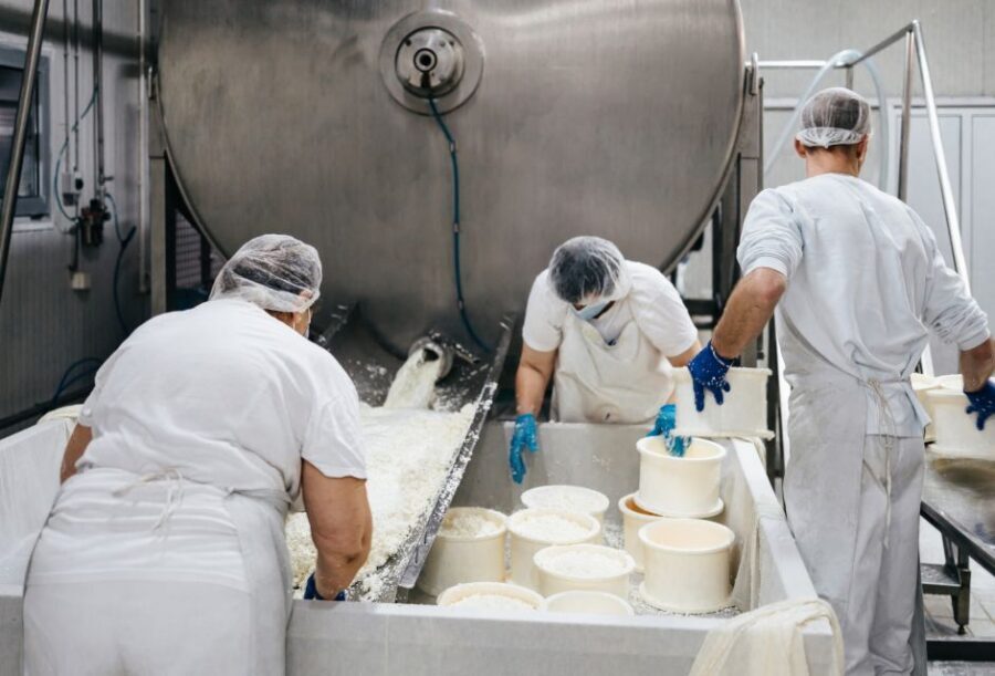 From Bologna: Parma Cheese & Ham Factory Tours and Tastings - Bologna to Parma by train: the day plan in plain language