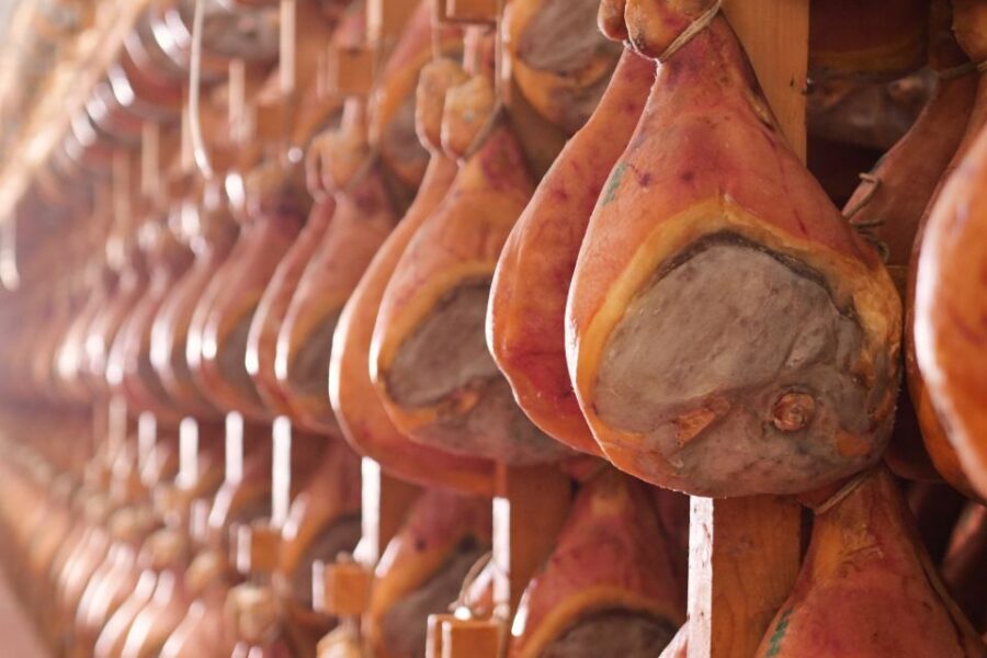From Bologna: Parma Cheese & Ham Factory Tours and Tastings - Price and value: is $178.99 fair for a 7-hour food day?