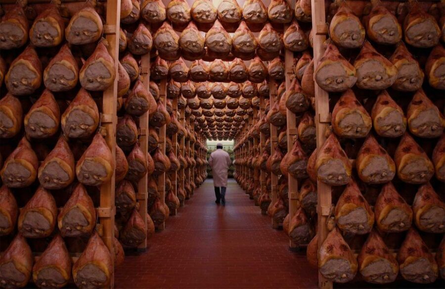 From Bologna: Parma Cheese & Ham Factory Tours and Tastings - Who should book this Parma cheese and ham tour