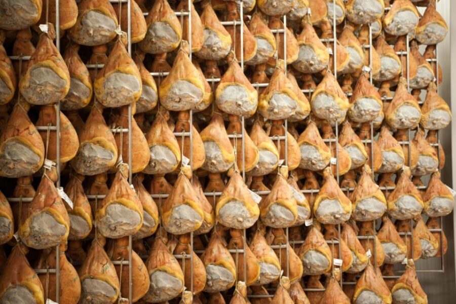 From Bologna: Parma Cheese & Ham Factory Tours and Tastings - Should you book this Bologna to Parma cheese and ham day trip?
