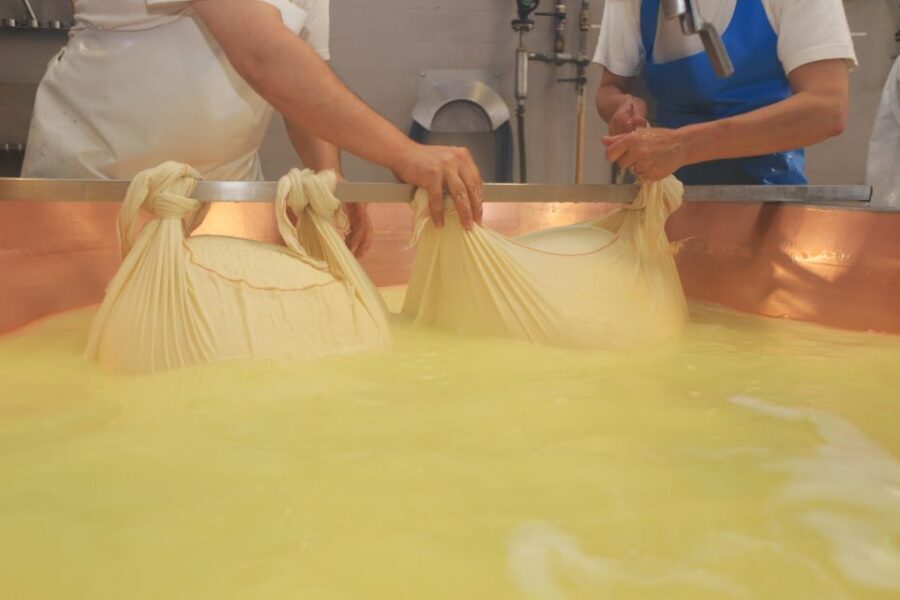 From Bologna: Parma Cheese & Ham Factory Tours and Tastings - Inside Parmigiano Reggiano production: from caldere milk to brine