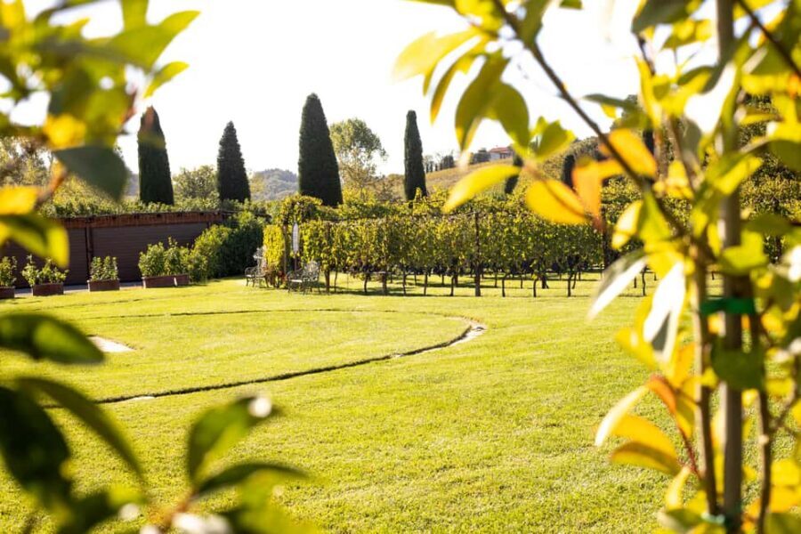 From Florence: Chianti Half-Day Afternoon Tour - The ride and first wine stop: Poggio ai Laghi, cellar tour + snacks