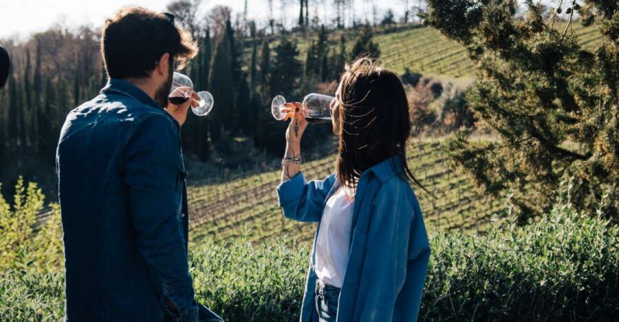 From Florence: Chianti Hills Half-Day Tour with Wine Tasting - Tuscany Chianti by Half-Day: what you gain from doing it this way