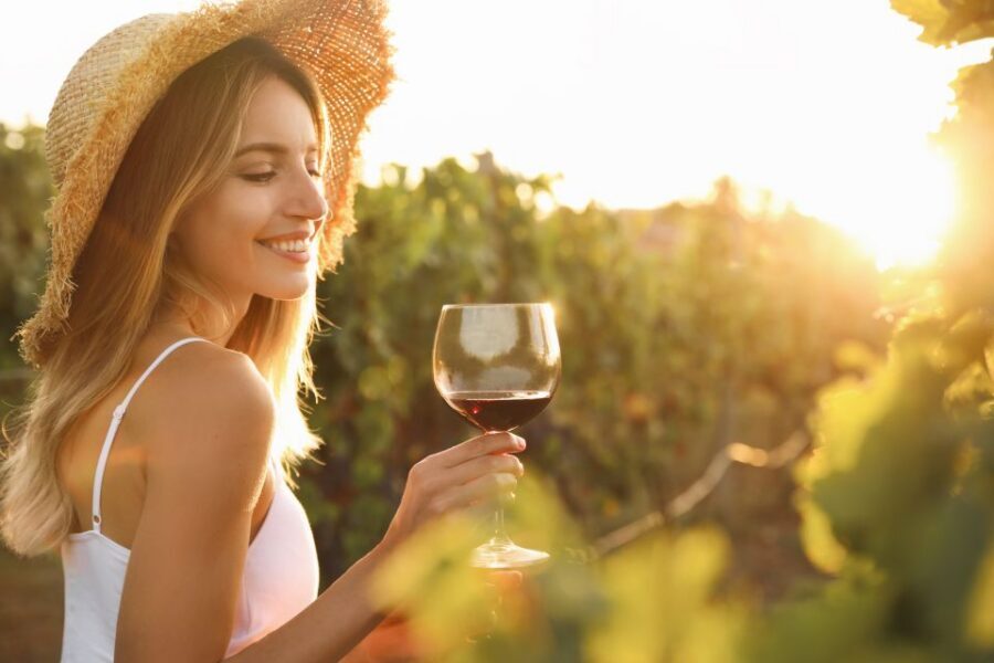 From Florence: Chianti Hills Half-Day Tour with Wine Tasting - Food pairing and olive oil tastings: why the snacks matter more than you expect