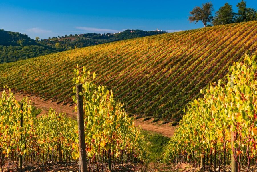 From Florence: Chianti Hills Half-Day Tour with Wine Tasting - Timing reality check: what fits in 5 hours (and what doesn’t)