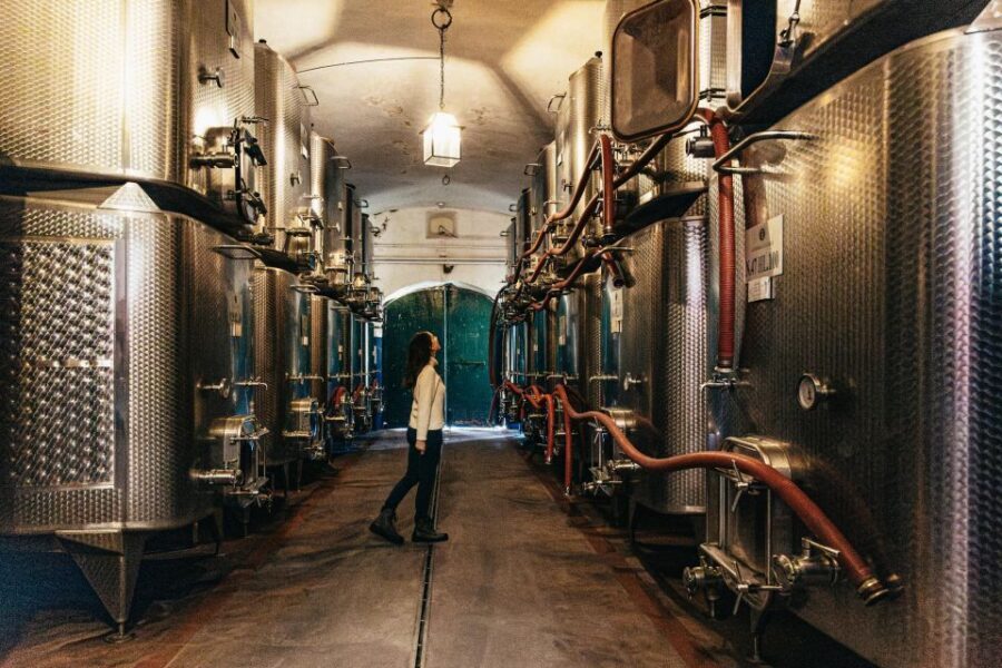 From Florence: Chianti Wine and Food Tasting Safari - Stop 2: Chianti Classico vineyards with tradition and innovation