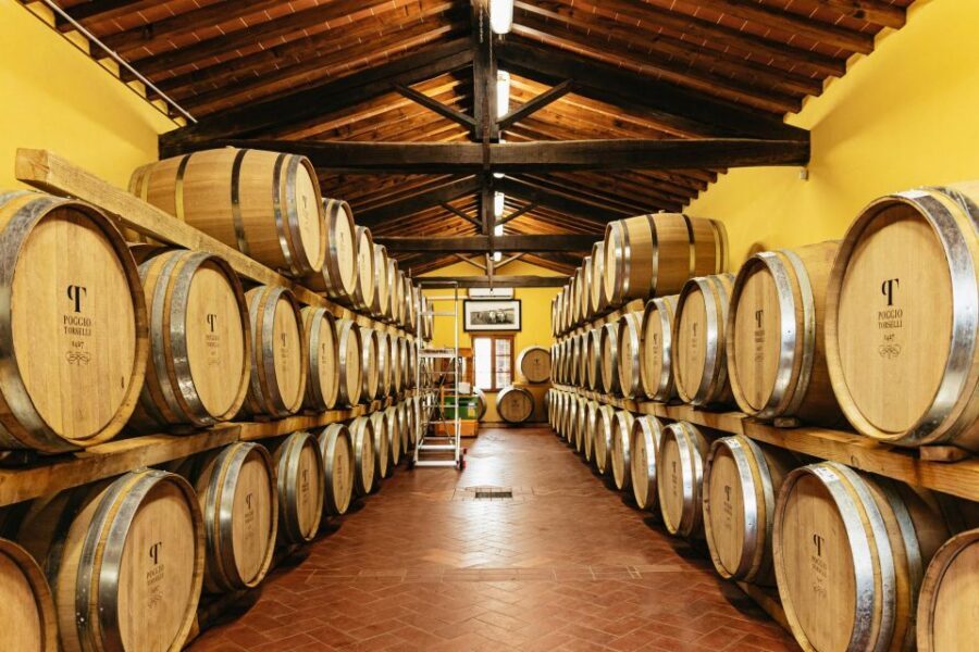 From Florence: Chianti Wine and Food Tasting Safari - The tastings: eight wines, plus olive oil, cheese, and cured meats