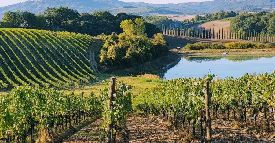 From Florence: Chianti Wine Tastings at Sunset Day Trip - Key highlights to know before you go