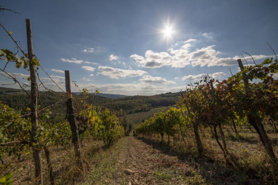 From Florence: Chianti Wine Tastings at Sunset Day Trip - Why This Sunset Chianti Day Trip Feels Like a Reset From Florence