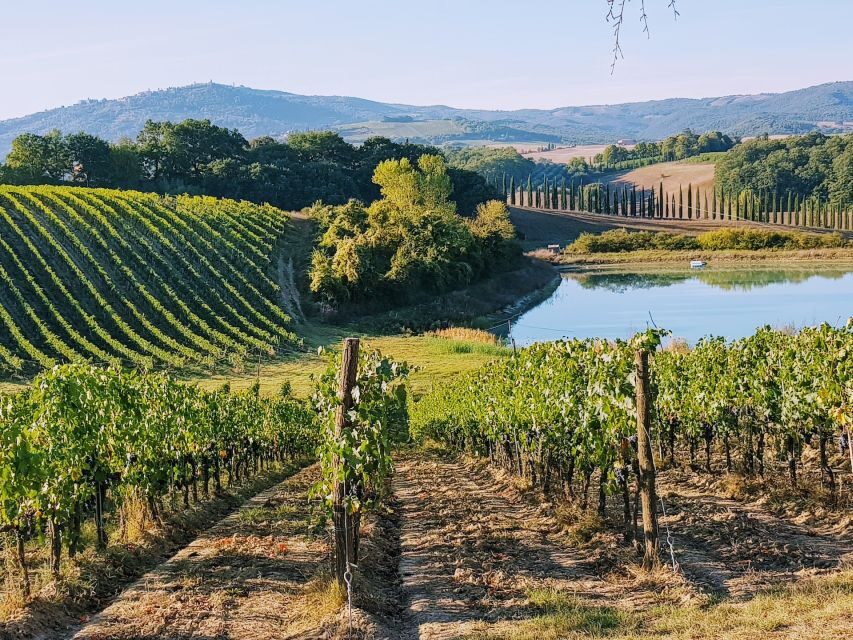From Florence: Chianti Wine Tastings at Sunset Day Trip - Greve in Chianti Photo Stop: The First Taste of the Hills