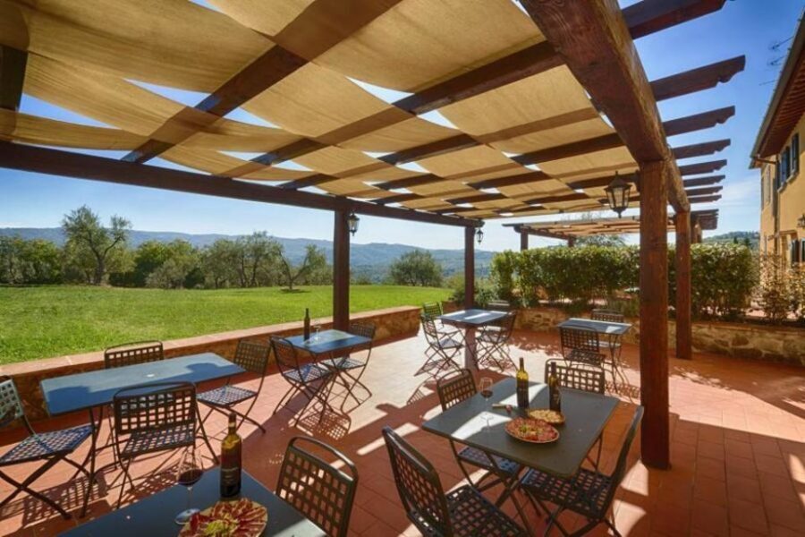 From Florence: Chianti Wine Tour with Tasting - Timing, group size, and bus comfort on a half-day schedule