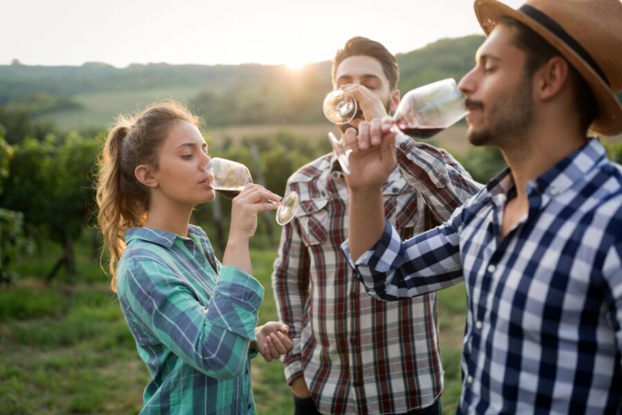 From Florence: Chianti Wine Tour with Tasting - Value check: is $41 worth it in Florence?