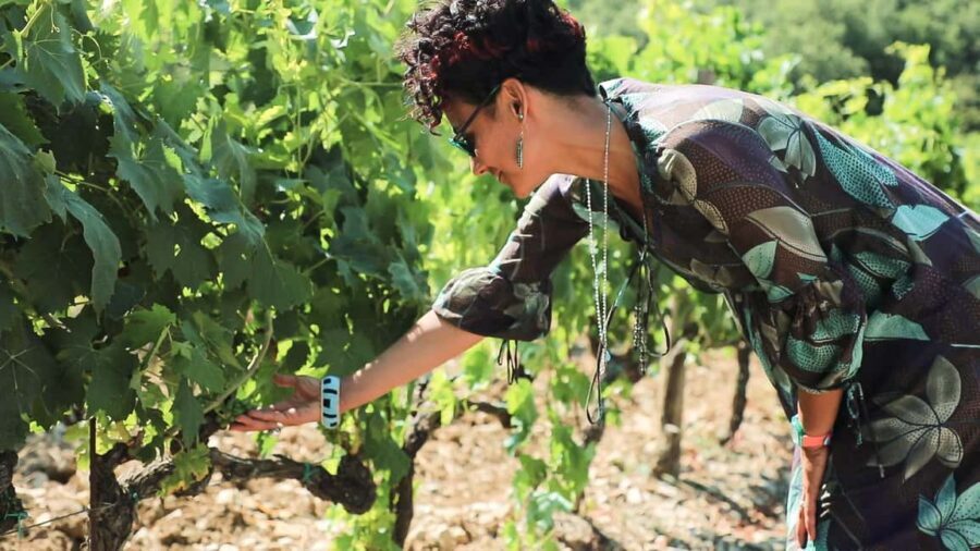From Florence: Chianti Wine Tour with Tastings - Key Highlights to Know Before You Go