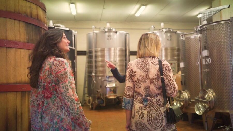 From Florence: Chianti Wine Tour with Tastings - Should You Book This Chianti Wine Tour?