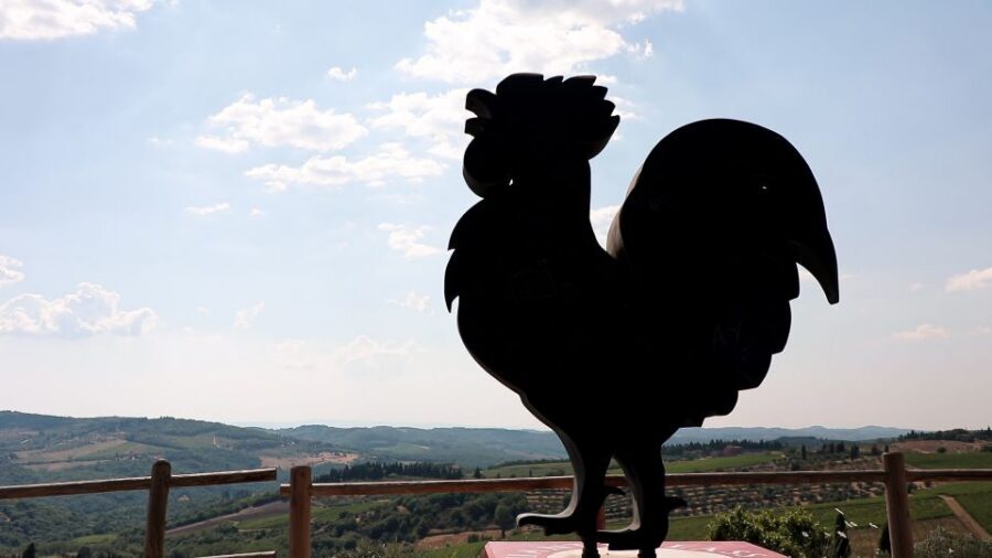 From Florence: Chianti Wine Tour with Tastings - Winery Stop 2: Vineyard Walk, Cellars, Aromatic Garden, and Four-Four Wines
