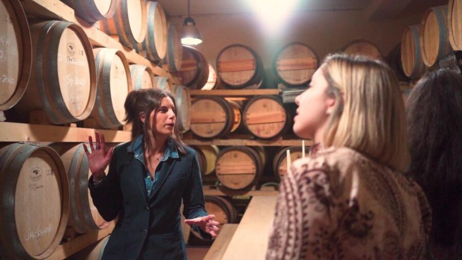 From Florence: Chianti Wine Tour with Tastings - Transportation, Comfort, and the Reality of Hills