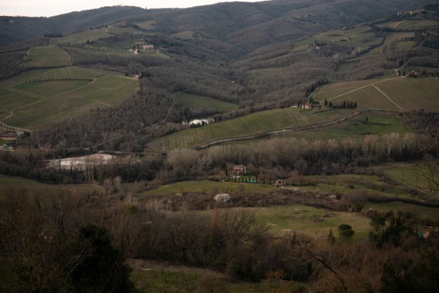 From Florence: Private Chianti Hills Tour with Tasting - First winery stop: a clear, guided look at wine-making