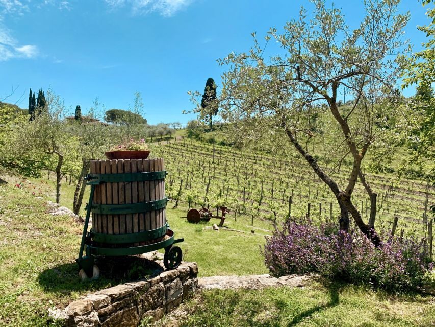 From Florence: Private Chianti Hills Tour with Tasting - Price and value for a private group