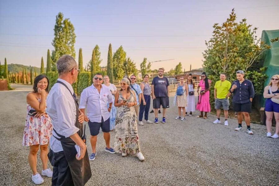 From Florence: Siena and Chianti Day Trip with Dinner - Wine Estate Dinner in the Heart of Chianti