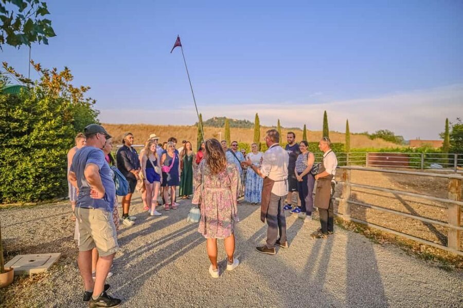 From Florence: Siena and Chianti Day Trip with Dinner - Price and Logistics: Is $80.55 Worth It?