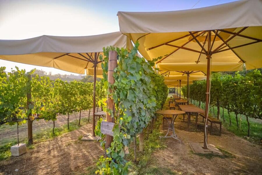 From Florence: Siena and Chianti Day Trip with Dinner - Comfort, Timing, and the Coach Ride Reality
