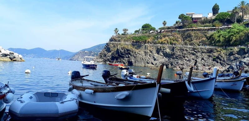 From Florence: Small-group to Cinque Terre and Pisa Day Tour - Timing, Pace, and Walking Reality Check