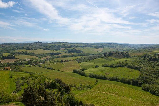 From Florence: Small-Group Tuscany Wine & Oil Tour with typical Tuscan Meal - Getting the most out of the tastings (without rushing yourself)
