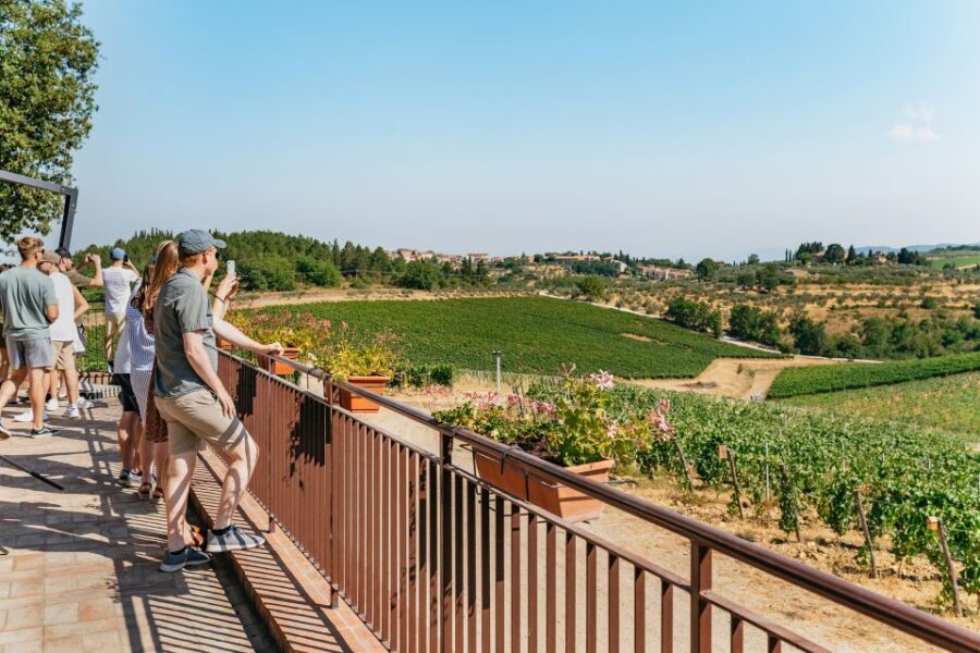 From Florence: Small Group Wine Tasting Tour to Tuscany - The Chianti Classico taste lesson: Sangiovese, plus what varies by season