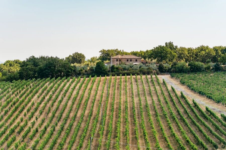 From Florence: Small Group Wine Tasting Tour to Tuscany - Who this tour suits best (and who should think twice)