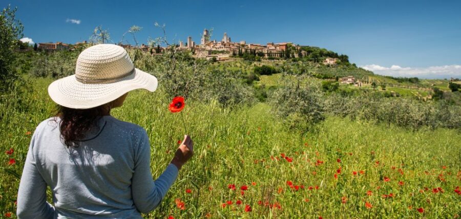 From Florence: Tuscany Highlights Full-Day Tour - Siena: how the specialist guide turns the Cathedral area into something you understand