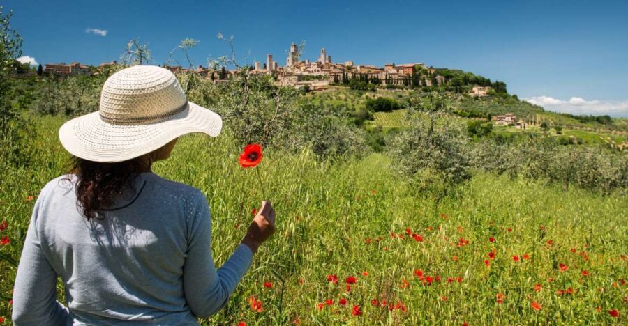 From Florence: Tuscany Highlights Full-Day Tour - San Gimignano: medieval lanes, artisan shops, and tight timing