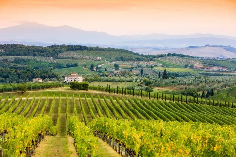 From Florence: Tuscany Wine & Food Tour with Guide - Lunch with winery tastings: food that keeps the day grounded
