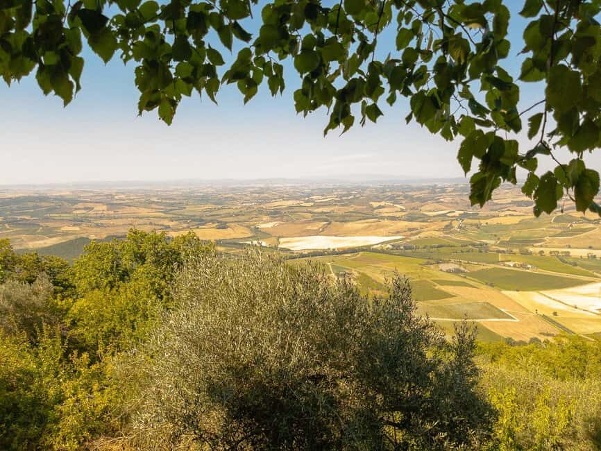 From Florence: Val D'Orcia Tour with Wine Tasting - Pienza on a hill: pecorino tasting and wandering time