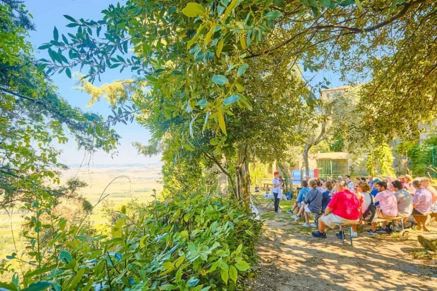 From Florence: Val D'Orcia Tour with Wine Tasting - Transportation and guide quality: what makes the day feel easy