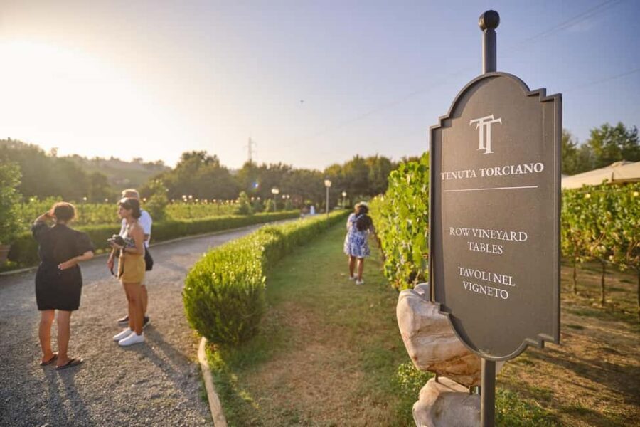 From Florence: Wine Tasting and Dinner in Chianti Vineyards - A Smart Chianti Afternoon From Florence (Without the Driving Headache)