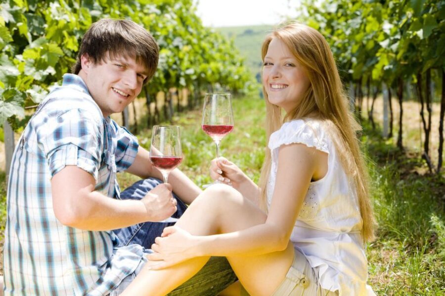 From Pisa or Lucca: Half-Day Tuscany Chianti Wine Tasting - Chianti in 4–4.5 Hours: The Real Rhythm from Pisa or Lucca