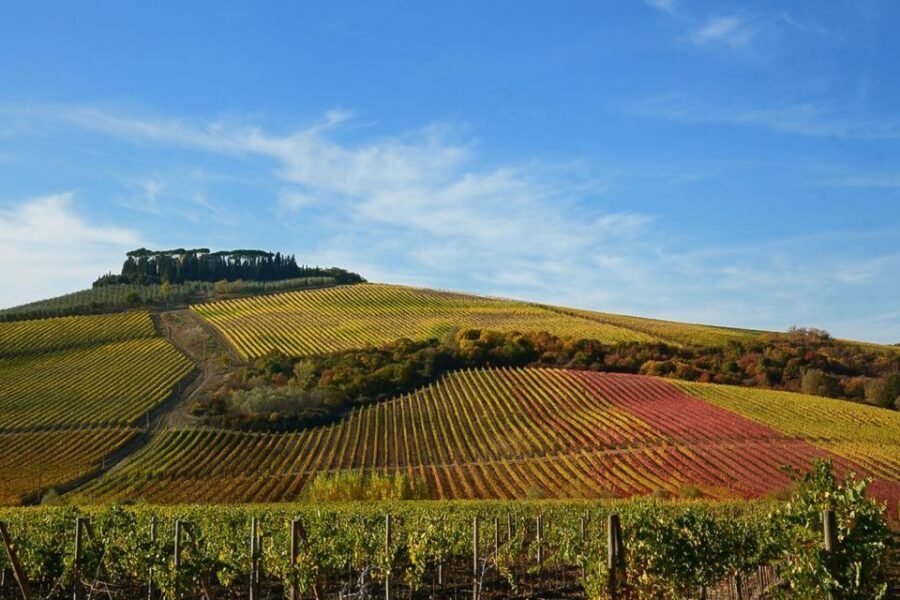 From Pisa or Lucca: Half-Day Tuscany Chianti Wine Tasting - Who This Tour Is Best For (and Who Should Skip It)