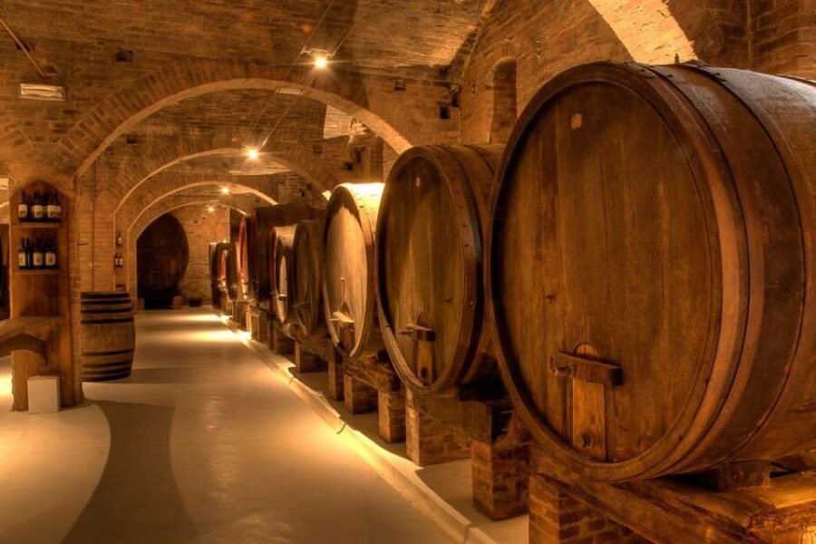 From Pisa or Lucca: Half-Day Tuscany Chianti Wine Tasting - The Winery Visit: Meeting the Owner and Seeing Where Wine Ages