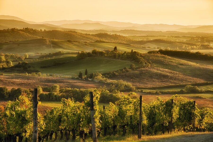 From Rome: Discover Florence and Pisa in a Full-Day Tour - One day, two icons: why this Florence-and-Pisa combo works