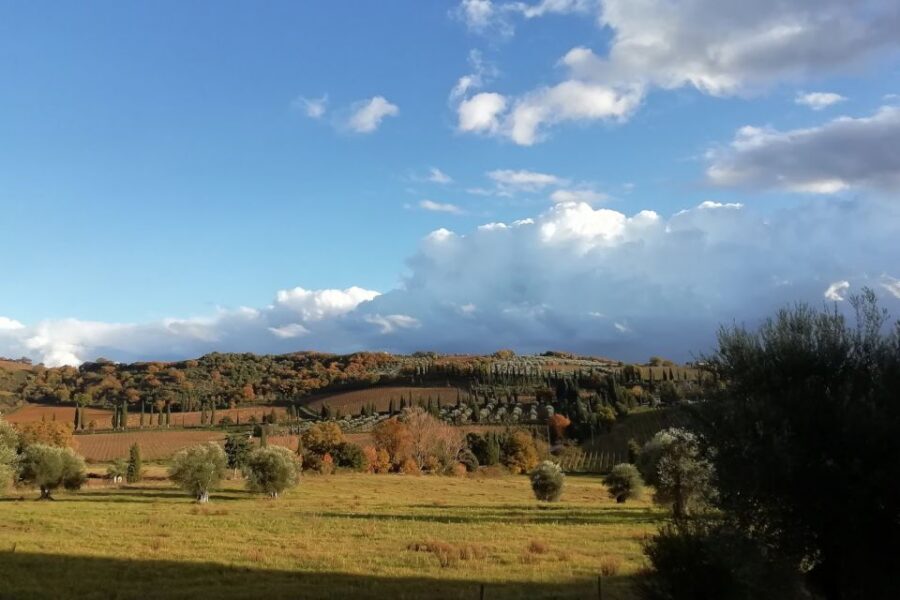 From Siena: Brunello di Montalcino Guided Wine Tour W/ Lunch - Should you book the Brunello di Montalcino guided tour from Siena?